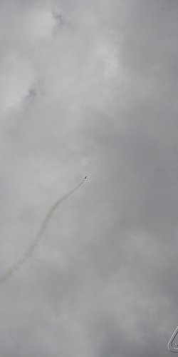 2013 Svojek Mirek Topinka